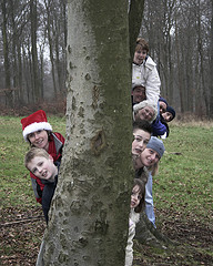 family-tree-kids-children.jpg