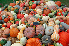 gourds-pumpkins-thanksgiving.jpg