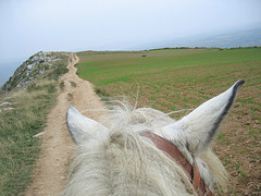 horse-ride-mountain-trail